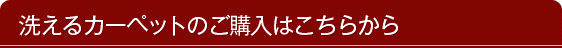 �􂦂�J�[�y�b�g�̂��w���͂����炩��