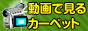 J[ybgN[Sς荡ʔ̓X