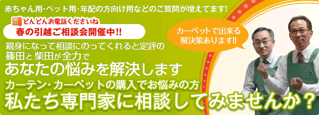 春のお引越し相談会開催中