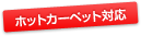 �ۥåȥ����ڥå��б�