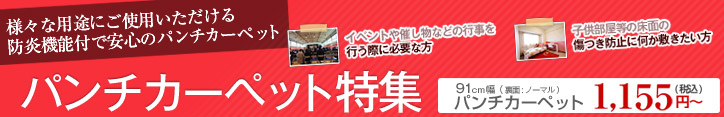 �p���`�J�[�y�b�g���W