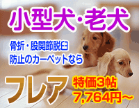 小型犬・老犬の、骨折・股関節脱臼防止にお勧めカーペットはこちら