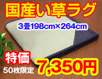 い草ラグ特価7,350円