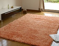 シャギータイプのラグ