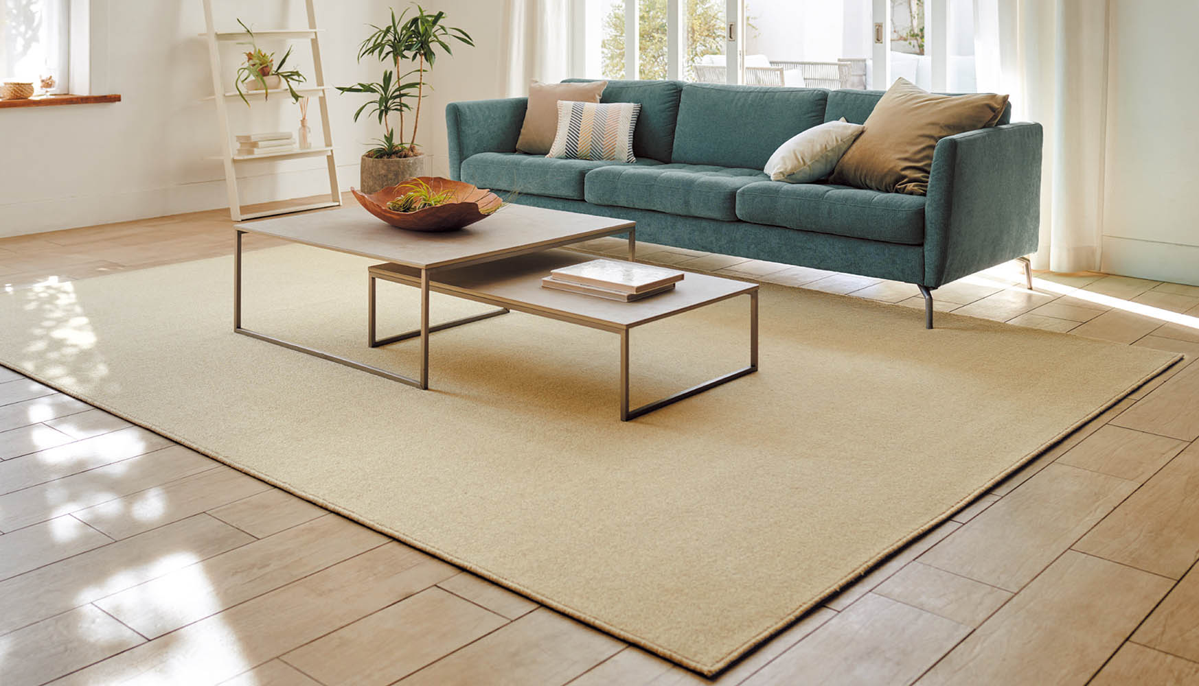 ���᡼������