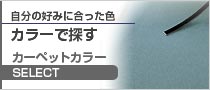 自分の好みに合ったカラーで探す