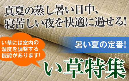 真夏の蒸し暑い日中、寝苦しい夜を快適に過ごせる！い草特集